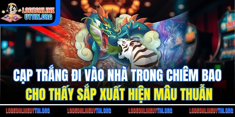 Mơ thấy hổ trắng xuất hiện đi vào nhà cho thấy sắp xuất hiện mâu thuẫn