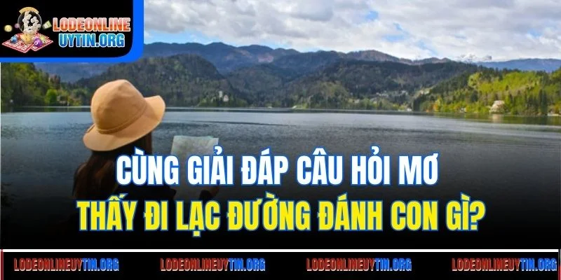 Cùng giải đáp câu hỏi mơ thấy đi lạc đường đánh con gì?