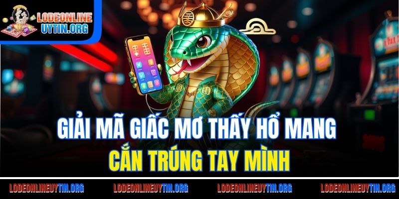 Giải mã giấc mơ thấy hổ mang cắn trúng tay mình