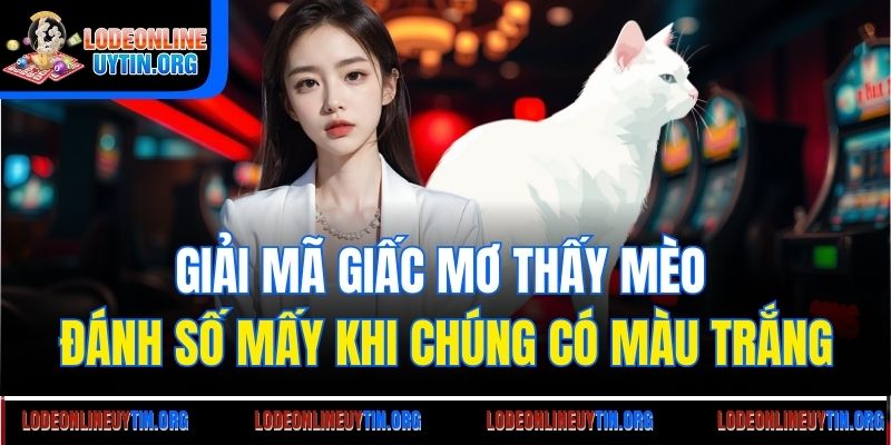 Giải mã giấc mơ thấy mèo đánh số mấy khi chúng có màu trắng