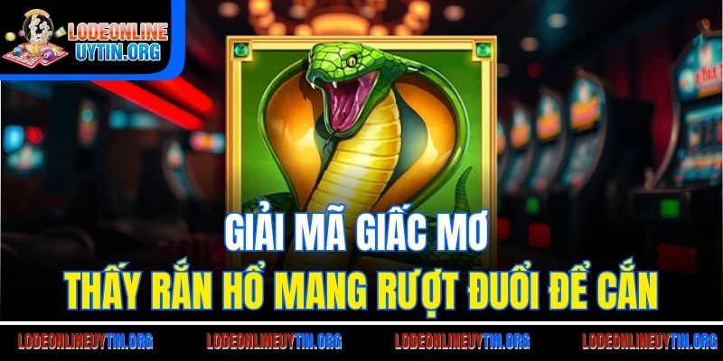 Giải mã giấc mơ thấy rắn hổ mang rượt đuổi để cắn