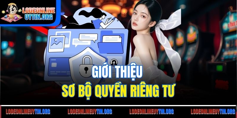 Giới thiệu sơ bộ quyền riêng tư