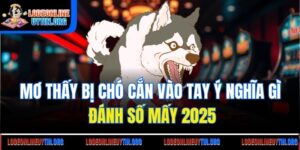 Mơ Thấy Bị Chó Cắn Vào Tay Ý Nghĩa Gì - Đánh Số Mấy 2025