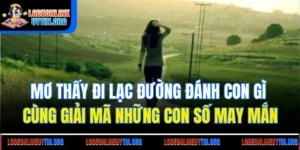 Mơ Thấy Đi Lạc Đường Đánh Con Gì Cùng Giải Mã Những Con Số May Mắn