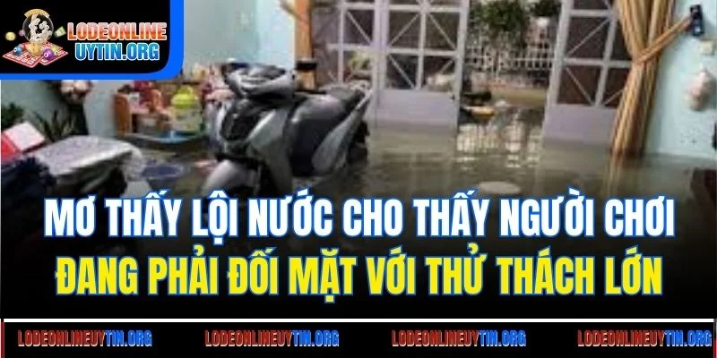 Mơ thấy lội nước cho thấy người chơi đang phải đối mặt với thử thách lớn