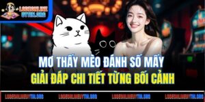 Mơ Thấy Mèo Đánh Số Mấy - Giải Đáp Chi Tiết Từng Bối Cảnh