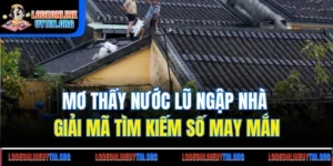 Mơ Thấy Nước Lũ Ngập Nhà - Giải Mã Tìm Kiếm Số May Mắn