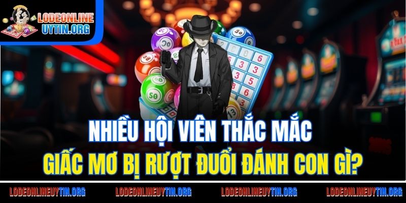 Nhiều hội viên thắc mắc giấc mơ bị rượt đuổi đánh con gì?
