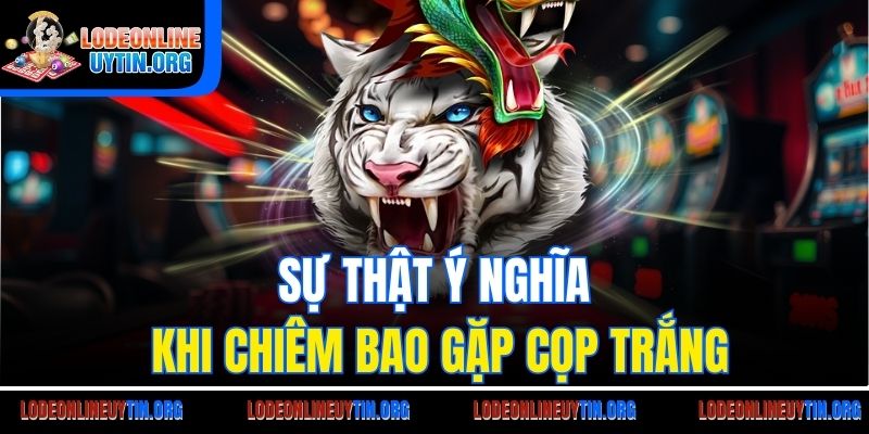 Sự thật ý nghĩa khi chiêm bao gặp cọp trắng