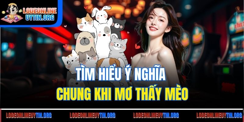 Tìm hiểu ý nghĩa chung khi mơ thấy mèo